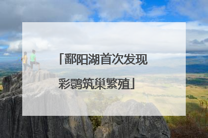 鄱阳湖首次发现彩鹮筑巢繁殖