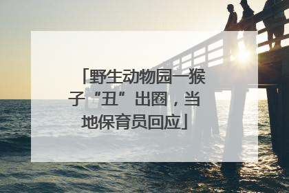 野生动物园一猴子“丑”出圈，当地保育员回应