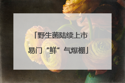 野生菌陆续上市 易门“鲜”气爆棚