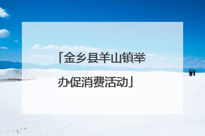 金乡县羊山镇举办促消费活动