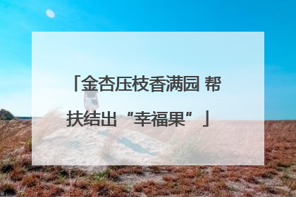 金杏压枝香满园 帮扶结出“幸福果”