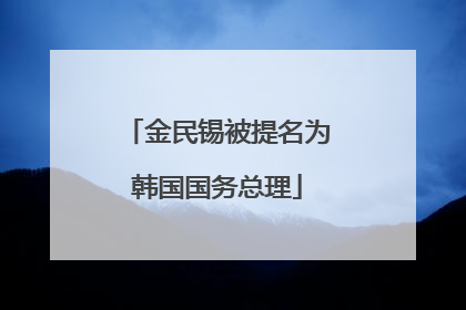 金民锡被提名为韩国国务总理