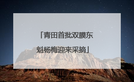 青田首批双膜东魁杨梅迎来采摘
