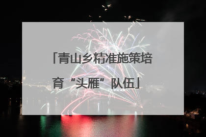 青山乡精准施策培育“头雁”队伍