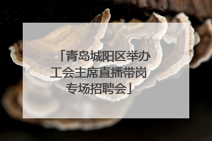 青岛城阳区举办工会主席直播带岗专场招聘会