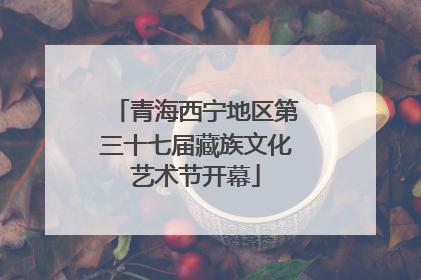青海西宁地区第三十七届藏族文化艺术节开幕