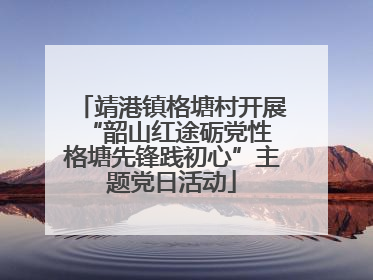 靖港镇格塘村开展“韶山红途砺党性 格塘先锋践初心”主题党日活动