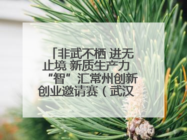 非武不栖 进无止境 新质生产力“智”汇常州创新创业邀请赛（武汉站）圆满举办