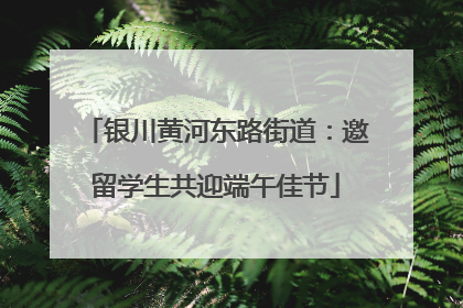 银川黄河东路街道：邀留学生共迎端午佳节