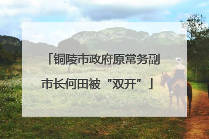 铜陵市政府原常务副市长何田被“双开”