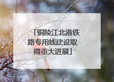 铜陵江北港铁路专用线建设取得重大进展