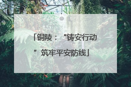 铜陵：“铸安行动”筑牢平安防线