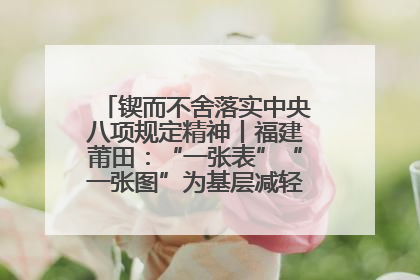 锲而不舍落实中央八项规定精神丨福建莆田：“一张表”“一张图”为基层减轻“数字负担”