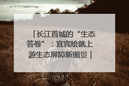 长江首城的“生态答卷”：宜宾绘就上游生态屏障新图景｜中华环保世纪行