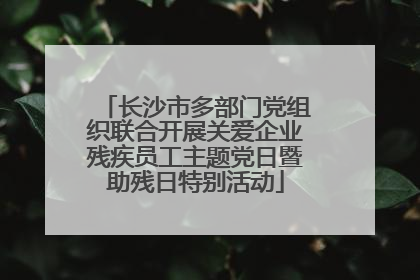 长沙市多部门党组织联合开展关爱企业残疾员工主题党日暨助残日特别活动