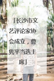 长沙市文艺评论家协会成立，曹隽平当选主席