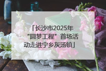 长沙市2025年“圆梦工程”首场活动走进宁乡灰汤镇