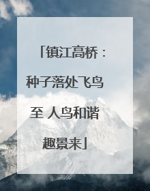 镇江高桥：种子落处飞鸟至 人鸟和谐趣景来