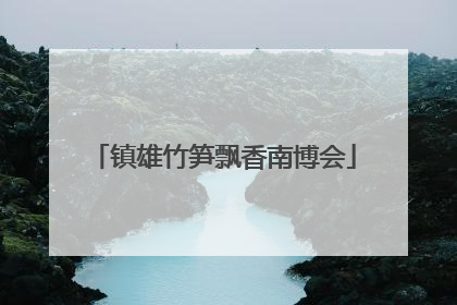 镇雄竹笋飘香南博会