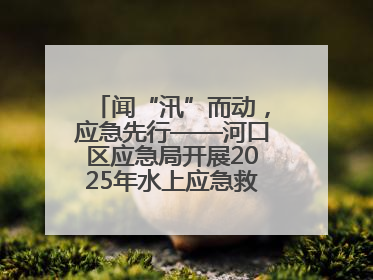 闻“汛”而动，应急先行——河口区应急局开展2025年水上应急救援实战演练
