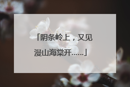 阴条岭上，又见漫山海棠开……