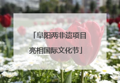 阜阳两非遗项目亮相国际文化节