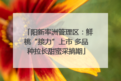 阳新率洲管理区：鲜桃“接力”上市 多品种拉长甜蜜采摘期