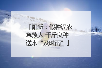 阳新：假种误农急煞人 千斤良种送来“及时雨”