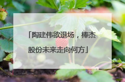 陶建伟欲退场，棒杰股份未来走向何方