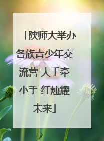 陕师大举办各族青少年交流营 大手牵小手 红烛耀未来