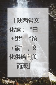 陕西省文化馆：“白+黑”“馆+景”，文化供给向美而聚