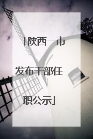 陕西一市发布干部任职公示