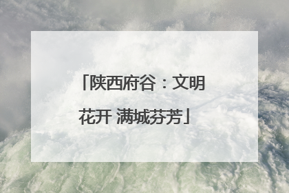 陕西府谷：文明花开 满城芬芳