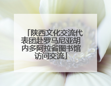 陕西文化交流代表团赴罗马尼亚胡内多阿拉省图书馆访问交流