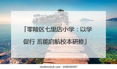 零陵区七里店小学：以学促行 蓄能启航校本研修