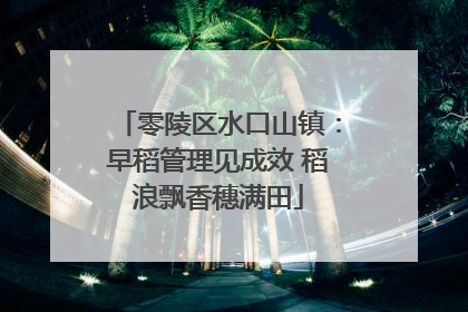 零陵区水口山镇：早稻管理见成效 稻浪飘香穗满田