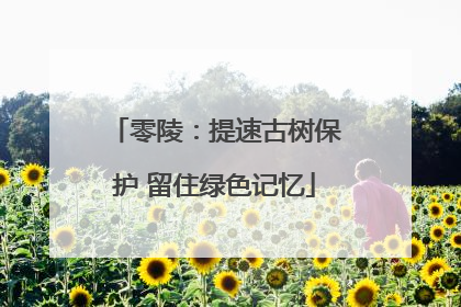 零陵：提速古树保护 留住绿色记忆