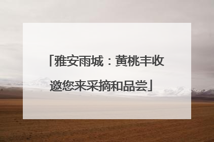 雅安雨城：黄桃丰收 邀您来采摘和品尝