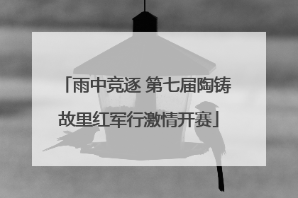 雨中竞逐 第七届陶铸故里红军行激情开赛