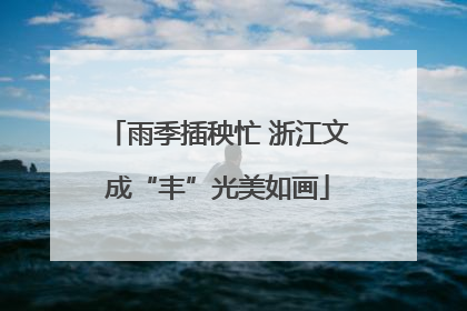 雨季插秧忙 浙江文成“丰”光美如画