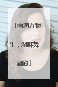 雨润万物生，湖畔舞翩跹