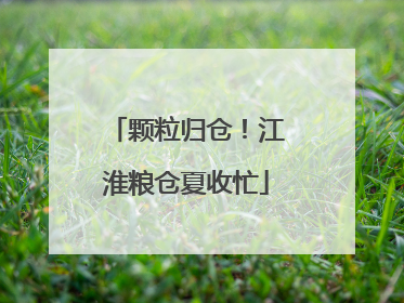 颗粒归仓！江淮粮仓夏收忙