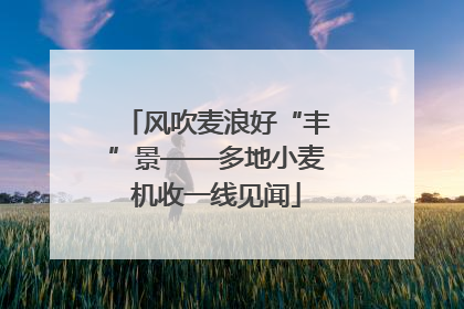 风吹麦浪好“丰”景——多地小麦机收一线见闻