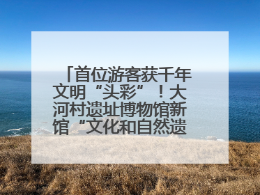 首位游客获千年文明“头彩”！大河村遗址博物馆新馆“文化和自然遗产日”璀璨启幕
