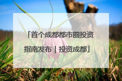 首个成都都市圈投资指南发布｜投资成都