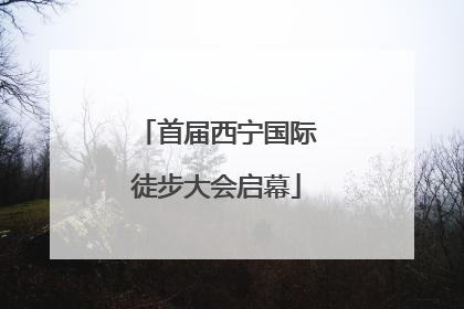 首届西宁国际徒步大会启幕
