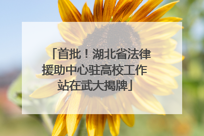 首批！湖北省法律援助中心驻高校工作站在武大揭牌