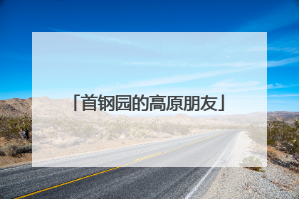 首钢园的高原朋友