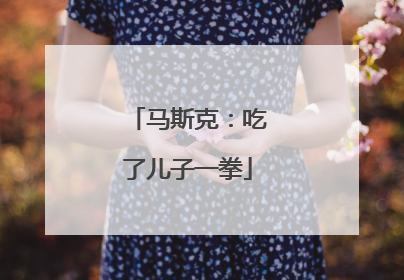 马斯克：吃了儿子一拳
