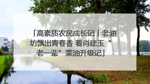 高素质农民成长记丨老油坊飘出青春香 看肖建玉“老一辈”菜油升级记